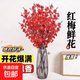 紅梅水培植物干枝雪柳水養鮮花卉梅花鮮枝珍珠李室內客廳綠植盆栽 帶花苞【紅色】40-80cm【20天爆花】 【閉眼入】18枝當天鮮切【開(kāi)花爆滿(mǎn)】
