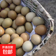 山雞蛋正宗七彩野山雞蛋新鮮五谷喂養山雞蛋農家營(yíng)養美味 七彩野山雞蛋60枚