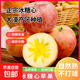 【正宗冰糖心】大漠果園蘋(píng)果脆甜多汁新疆紅富士蘋(píng)果丑蘋(píng)果皮薄 9.1斤【含箱】大果80mm【多汁】