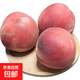 澳洲水蜜桃 澳大利亞進(jìn)口桃子公主桃脆甜當季水果-甄果 三斤澳洲水蜜桃（7-11個(gè)果）