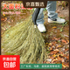 【京喜甄選】竹掃把戶(hù)外院子專(zhuān)用大號掃把掃馬路掃雪工地單位車(chē)間老式換位掃帚掃地神器 黑皮老枝小掃把