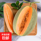哈密瓜曉蜜25號西洲蜜新鮮甜瓜現摘整箱產(chǎn)地直發(fā) 1.5-2斤