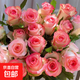 云南基地直發玫瑰鮮花全國速遞配女友生日禮物家用水養插京東快遞 艾莎玫瑰18支+2支(防損)