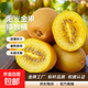 陽(yáng)光金果國產(chǎn)獼猴桃奇異果金桃彌泥猴桃新鮮水果生鮮大果孕婦當季 30枚70-90g