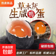 草木灰生咸鴨蛋新鮮腌制紅心蛋黃起沙咸蛋黃帶殼生鮮超市早餐 65g*20枚（平均重量約65g）
