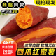 現挖沙地西瓜紅蜜薯紅薯新鮮農家糖心番薯烤地瓜山芋軟糯批發(fā)包郵 西瓜紅蜜薯5斤裝 小果含箱