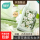 植護優(yōu)真系列內衣洗衣液除菌除螨清洗液去黃血漬山茶留香宿舍家用 植護優(yōu)真內衣洗衣液【山茶香芬】500g*1瓶