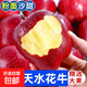 正宗甘肅天水花牛蘋(píng)果粉面香甜蛇果嬰兒刮泥紅星蘋(píng)果當季新鮮水果 帶箱9.5-10斤商超級特大果