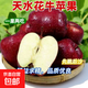 禮盒裝甘肅天水花牛蘋(píng)果平安果圣誕果過(guò)當季新鮮水果蘋(píng)果寶寶 帶箱1斤65-70mm