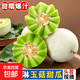 海南玉菇甜瓜 3/5/9斤香甜軟糯口感現摘現發(fā)新鮮水果產(chǎn)地白瓜整箱 凈重8.5-9斤【3-5個(gè)瓜】