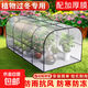 花棚暖房保溫花房家用溫室保暖防凍罩冬季花卉綠植陽(yáng)臺室外保溫棚 【100*50*55cm】帶保溫膜+壓膜扣