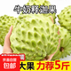 福建漳州釋迦果應季水果現摘當季新鮮佛頭果正宗鳳梨牛奶番荔枝 帶箱5斤【單果200克+】