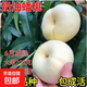 新品種嫁接桃樹(shù)苗奶油白蟠桃樹(shù)苗盆栽地栽南北方種植當年結特大果 四年苗 買(mǎi)一送一（2棵裝）當年結果 81cm(含)-110cm(含)