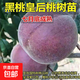 新品種特大超甜嫁接黑桃皇后桃樹(shù)苗果樹(shù)苗桃樹(shù)南北方種植當年結果 四年苗 買(mǎi)一送一（2棵裝）當年結果 81cm(含)-110cm(含)