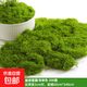 仿真苔蘚草皮造景仿生假青苔微景觀(guān)布置擺件草坪盆景盆栽鋪面裝飾 絲狀苔蘚淺綠200克