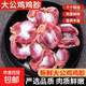 雞胗新鮮冷凍雞肫雞雜燒烤鹵味火鍋小串食材雞胃雞內金雞內臟 大公雞雞胗 6斤
