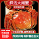洪澤湖鮮活大閘蟹禮盒裝公母特大蟹螃蟹河蟹母蟹7兩公蟹6兩母蟹 全公7兩2對4只