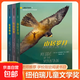 山居歲月三部曲3冊 紐伯瑞兒童文學(xué)獎金獎  驚風(fēng)的山遠山深處荒野生存小學(xué)生五年級課外書(shū)外國兒童文學(xué) 【3冊】山居歲月系列3冊