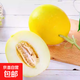 海南金美人蜜瓜 金香玉冰糖蜜瓜 脆甜清香 當季新鮮水果 2.5-3斤1-2個(gè)