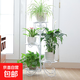 歐式鐵藝花架落地式花盆架多層架子室內外客廳陽(yáng)臺綠蘿架裝飾架 白色
