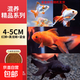 金魚(yú)活魚(yú)不加溫冷水魚(yú)觀(guān)賞魚(yú)淡水魚(yú)活體草金魚(yú)苗小金魚(yú)好養寵物魚(yú) 4-5cm小紅獅+黑龍睛+小鎏金各2條