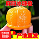 湖南麻陽(yáng)冰糖橙正宗湖南甜橙冰糖橙 新鮮甜橙水果整箱橙子 整箱10斤（凈重9斤）單果60-65mm