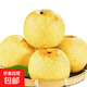 京喜加東北黃金酥梨皮薄水分足海城1 5斤（凈果7-9個(gè)）