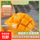 正宗臺芒海南小臺芒果新鮮熱帶水果非大臺應季農薄皮整箱當季批發(fā) 小臺芒帶箱5斤單果50-70克