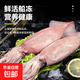 新鮮大魷魚(yú)特大號野生魷魚(yú)整條烏賊批發(fā)冷凍生鮮大章魚(yú)鮮活八爪魚(yú) 海捕野生 整條發(fā)貨  /袋 450g(凈重)  一袋嘗鮮裝