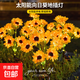 太陽(yáng)能庭院燈向日葵花燈戶(hù)外防水陽(yáng)臺花園裝飾景觀(guān)草坪燈仿真綠植 太陽(yáng)能三頭向日葵