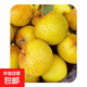 京喜加花蓋梨東北特產(chǎn)花蓋梨海城1 5斤（凈果）