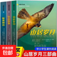 [官方正版]山居歲月三部曲 山居歲月系列全3冊正版 山居歲月系列全3冊 山居歲月兒童版 驚風(fēng)的山正版 正版3冊山居歲月三部曲