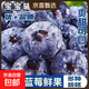 【云南藍莓】云南新鮮藍莓高山種植寶寶輔食孕婦皆可食用啟程 超大果單果18mm＋ 云南藍莓熱賣(mài)帶盒125g*2盒裝