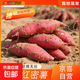 2026新鮮西瓜紅紅薯沙地蜜薯軟糯香甜地瓜番薯直播間京東包郵 西瓜紅蜜薯 5斤含箱 中大果【3兩起】