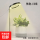 植物補光燈全光譜LED植物生長(cháng)燈防太陽(yáng)多肉補光燈種植6W定時(shí)調光 黑色-太陽(yáng)光（植物生長(cháng)）+底座 可調節-高68CM