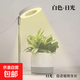 植物補光燈全光譜LED植物生長(cháng)燈防太陽(yáng)多肉補光燈種植6W定時(shí)調光 白色-太陽(yáng)光（植物生長(cháng)）+底座 可調節-高68CM