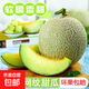 海南玫瓏瓜網(wǎng)紋瓜哈密瓜新鮮現摘水果冰淇淋蜜瓜軟糯香甜包郵整箱 凈重8.5-9斤【3-5個(gè)瓜】