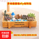 多肉植物室內盆栽微景觀(guān)diy材料包社團手工活動(dòng)38節植樹(shù)節日禮品 碧海青天（黃長(cháng)木盒+多肉+土+裝飾+鋪面土+工具） 材料包一套送工具鏟子