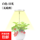 植物補光燈全光譜LED植物生長(cháng)燈防太陽(yáng)多肉補光燈種植6W定時(shí)調光 白色-太陽(yáng)光（植物生長(cháng)）-無(wú)底座 可調節-高68CM