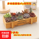 多肉植物室內盆栽微景觀(guān)diy材料包社團手工活動(dòng)38節植樹(shù)節日禮品 隨機十個(gè)多肉（黃長(cháng)木盒+多肉+土+工具） 材料包一套送工具鏟子