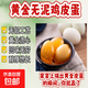 廣東實(shí)力廠(chǎng)家周周黃金變蛋溏心雞皮蛋無(wú)泥雞皮蛋無(wú)鉛松花雞變蛋 6枚（300克）