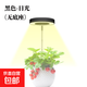 植物補光燈全光譜LED植物生長(cháng)燈防太陽(yáng)多肉補光燈種植6W定時(shí)調光 黑色-太陽(yáng)光（植物生長(cháng)）-無(wú)底座 可調節-高68CM