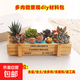 多肉植物室內盆栽微景觀(guān)diy材料包社團手工活動(dòng)38節植樹(shù)節日禮品 卡皮巴拉（黃長(cháng)木盒+多肉+土+裝飾+鋪面土+工具） 材料包一套送工具鏟子