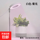 植物補光燈全光譜LED植物生長(cháng)燈防太陽(yáng)多肉補光燈種植6W定時(shí)調光 白色-紫色光（顏色鮮艷）+底座 可調節-高68CM