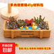 多肉植物室內盆栽微景觀(guān)diy材料包社團手工活動(dòng)38節植樹(shù)節日禮品 大小黃鴨（黃長(cháng)木盒+多肉+土+裝飾+鋪面土+工具） 材料包一套送工具鏟子
