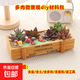 多肉植物室內盆栽微景觀(guān)diy材料包社團手工活動(dòng)38節植樹(shù)節日禮品 草原姑娘（黃長(cháng)木盒+多肉+土+裝飾+鋪面土+工具） 材料包一套送工具鏟子