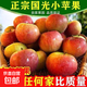 國光小蘋(píng)果東北特產(chǎn)產(chǎn)地直發(fā)香甜多汁 當季新貨 帶箱約9.5斤，凈果9斤