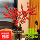 【北美冬青】精品進(jìn)口鮮切枝水培植物鮮花束紅果水養年宵花卉真花 北美冬青鮮切枝高40-45cm《5支》