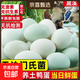 戚溪真無(wú)抗散養鴨蛋新鮮綠殼鴨蛋白皮50g散養鴨蛋孕婦寶寶營(yíng)養蛋 50-60克10枚新鮮生鴨蛋 林下散養 林下散養+無(wú)抗檢測+無(wú)沙門(mén)氏菌