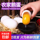 【不等庫存 只發(fā)鮮貨】山林土鵝蛋 現撿現發(fā) 孕婦土鵝蛋 110-130克中號蛋 12枚